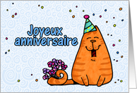 happy birthday cat - French card