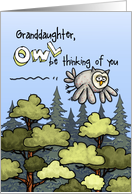 Granddaughter - Thinking of you at summer camp - Owl card