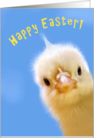Happy Easter Chick card