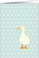 Duck Cool Solo card