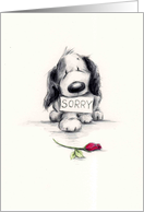 The sad looking dog apology to someone special. card
