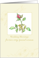 Lesbian Wedding Congratulations Pink Tea Rose Morning Glory card