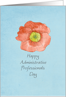 Happy Administrative Professionals Day Red Poppy Watercolor Flower card