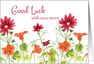 Good Luck With Your Move Orange Nasturtium Flowers card