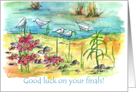 Good Luck On Your Finals Seagulls Watercolor Landscape card