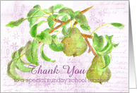 Thank You Sunday School Teacher Pears card