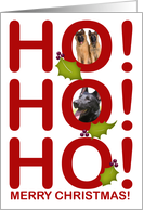 Ho! Ho! Ho! Merry Christmas! Photo Card Two Photos Holly Leaves card
