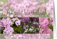 Happy Birthday, Lilac Collage card