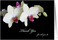 Just to Say Thank You Administrative Professionals Day Card Orchids card