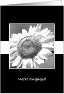 Engagement Announcement Black and White Sunflower card