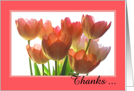 Administrative Assistant Day Card -- Thanks Tulips card