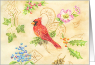 Christmas Thank You Cardinal Vintage Style Truly Appreciated card