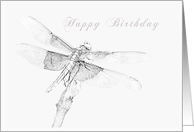 Happy Birthday to Employee Dragonfly card