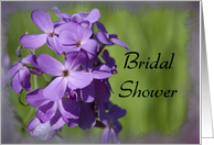 Bridal Shower Invitation - Purple Wildflowers card