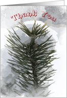 Snowy Pines - Thank You for the Gift card