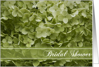 Bridal Shower Invitation Annabelle Hydrangea Green card