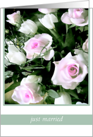 just married- white pink roses card