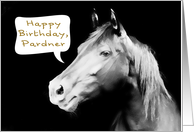 happy birthday, pardner, birthday card for kids, horse card