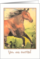 you are invited, kids birthday party, horse card