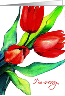 I’m Sorry, Apology, Three Red Tulips, Watercolor Painting card