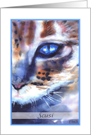 scusi watercolor cat blue eye card
