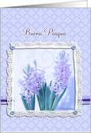 happy easter in Italian,buona pasqua, blue crocus flower,3-d-lace effect, card