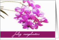 happy birthday in spanish,feliz cumpleaos, pink orchids,flower,floral, card