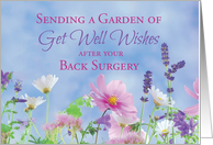 Get Well After Back Surgery Garden Flowers card