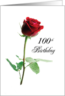 100th Birthday Red Rose Flower card
