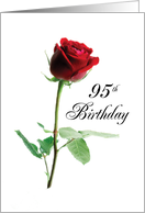95th Birthday Red Rose Flower card