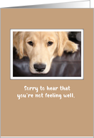 Get Well with Golden Retriever Dog Feeling Down card