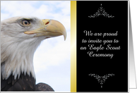 Customize Eagle Scout Award Recognition Invitation card