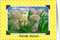 Friendship teddy bear and bunny in daffodil garden card