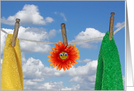 Friendship orange daisy with towels hanging on clothesline card