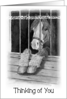 Coronavirus, Thinking of You, Cute Pony in Stall, Pencil Art, Lonely card