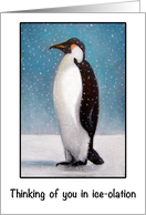 Coronavirus, Lone Penguin, Thinking of You in Ice-olation, Pun card