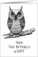 Happy Covid Birthday, Hope It’s A Hoot, Drawing of Big-Eyed Owl card