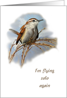 Announcement of Breakup or Divorce Flying Solo Again Bird Illustration card