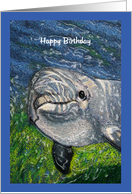 Dolphin Swimming: Happy Birthday To Cool Dude, Kids card