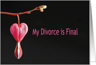 My Divorce is Final card