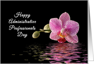 Administrative Professionals Day Greeting Card-Orchid Reflection card