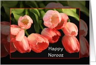 Happy Norooz-Persian New Year-Greeting Card-Tulips-Flowers card