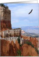 Eagle in the Canyon, Eagle Scout Invitation card