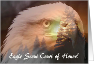 Eagle Through the Trees, Eagle Scout Court of Honor card