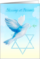 Passover Dove with Branch and Star of David card