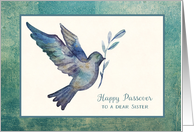 For Sister Happy Passover with Watercolor Dove card