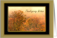 Autumn Trees Thanksgiving Wishes card