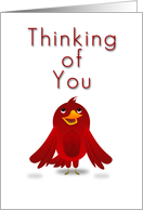 Thinking of You, Cartoon Bird card