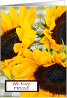 We have moved Change of Address with rustic sunflowers card