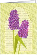 Persian New Year Norooz Purple and Pink Hyacinths Our House to Yours card
